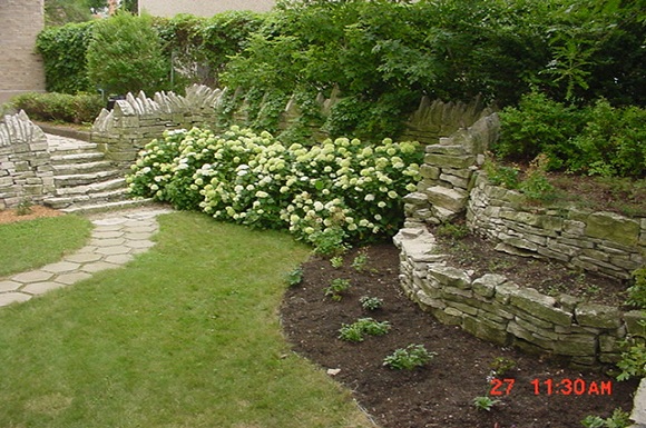 Gallery Photo 1